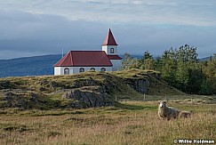 Sheep Church Iceland 091422 6082