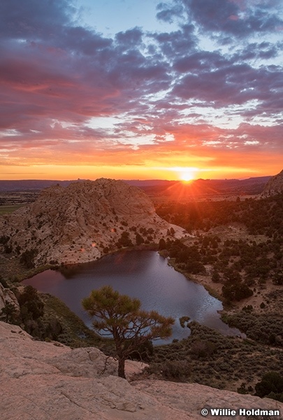 Teasdale Pond 081423 4088 5