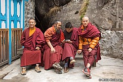 monkscell051709 26570