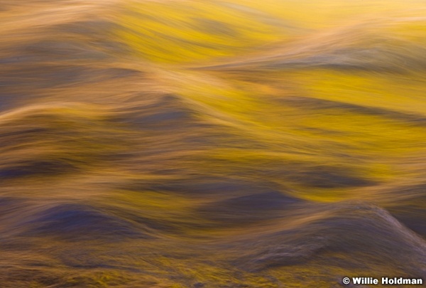 Abstract Water Yellow Green 110713 2
