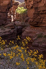 Deer Creek Grand Canyon 041115 5776