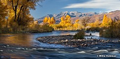 Provo River Autumn 101512