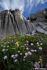 Lone Peak Wilderness 9542