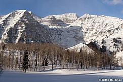 Timpanogos Winter Meadow022312