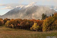 Autumn Colors Timp 100117 7090F