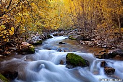 Bigcottonwoodstream 6415