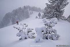 Backcountry Skiing 122619 0071 6