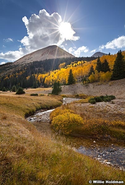 Tusharstream100111 1316