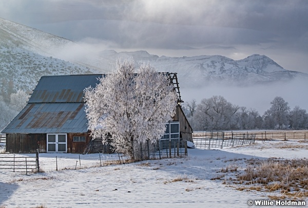 Daniels Frosty Barn 010421 7462 2