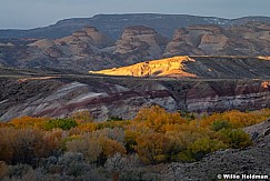 Bentonite Yellow Cottonwoods 110724