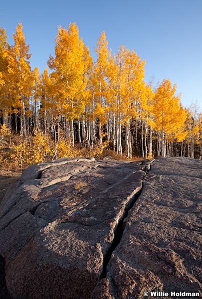 Split Rock Aspen 100312 132