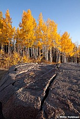 Split Rock Aspen 100312 132