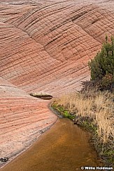 St George Sandstone 031320 4255