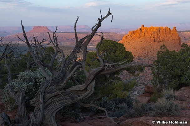 Canyonlands Last Light 033025 9827