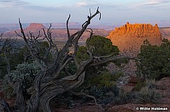 Canyonlands Last Light 033025 9827