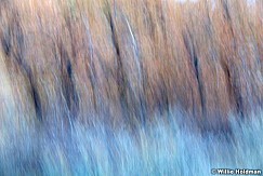 Abstractimpressions101510 5165