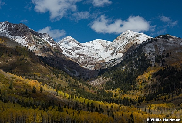 American Fork Canyon Autumn 100416 1663