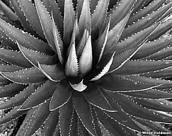 265010310111BW