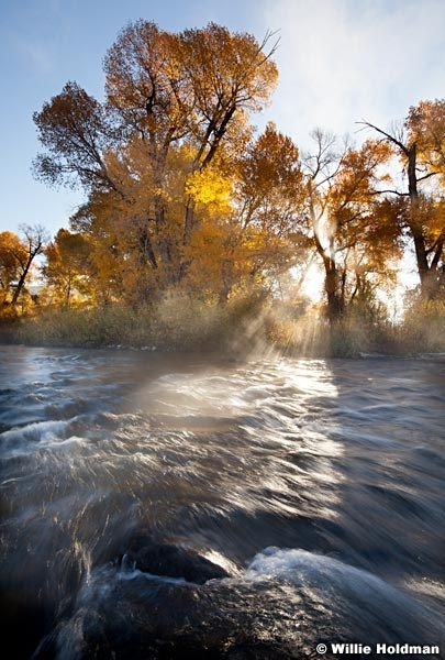 Provo River Cottonwood 101512F 258