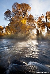 Provo River Cottonwood 101512F 258