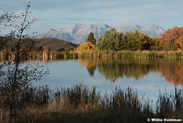 Timpanogos Heber Pond 101012 0674