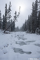 Snowy Day Mirror Lake 113025 6760