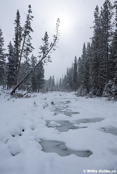 Snowy Day Mirror Lake 113025 6760