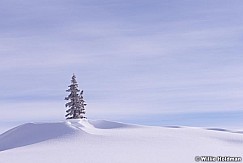 Lone Pine Snow 031815 1004