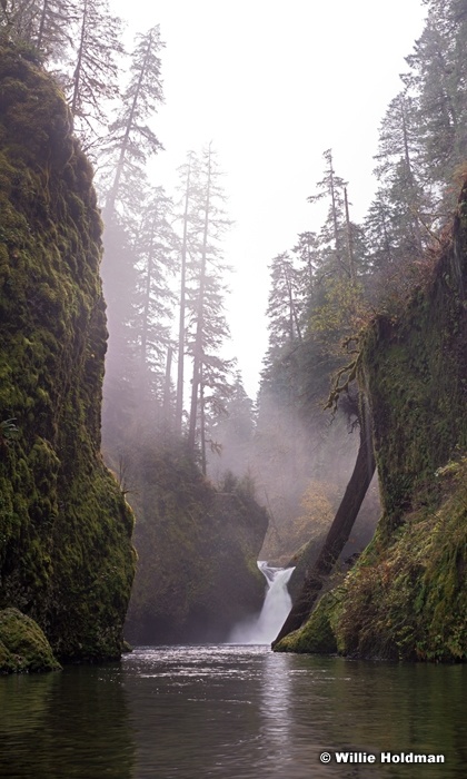 Punch Bowl Falls 110514