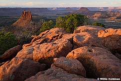 Orange Cliffs Sunrise Canyonlands 052326 9013
