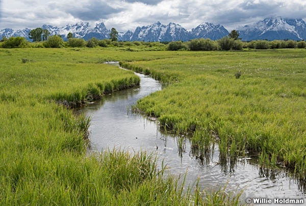 Winding Spring Stream Tetons 061620 63