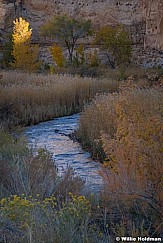 Fremont River Autumn 102921 0764 2