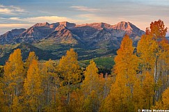 Sunrise Yellow Orange Aspens 5x7.5 100226
