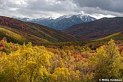 Cascade Springs Autumn 100117 6942. 7x5