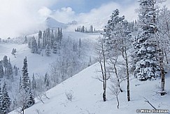 Frosty Timpanogos Winter 123015 3