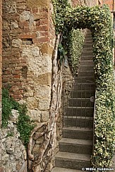 Montepulcianostairs092209 024