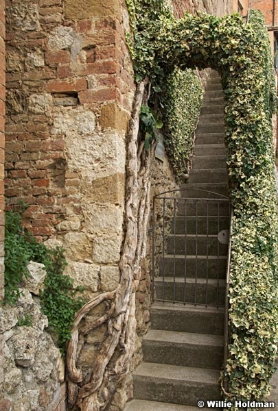 Montepulcianostairs092209 024