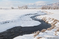 Icy Winter Stream Timpanogos 122020 6012 5