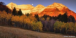 timpanogosharvestmoonpan