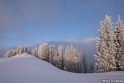 Wasatch Back Frost 122618 0958 2