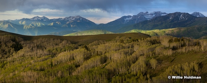 Spring Storm Wasatch 060212