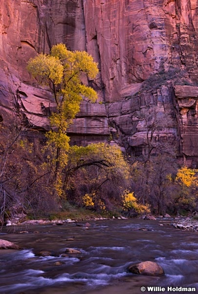 Zion Narrows 110713 2 3