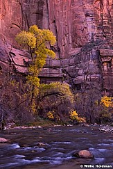 Zion Narrows 110713 2 3