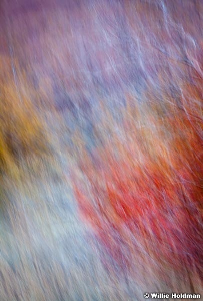 Abstractimpressions101510 5282