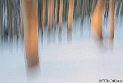 aspenabstract121610 19