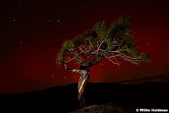 Northern Lights Teasdale 100824 2446