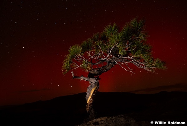 Northern Lights Teasdale 100824 2446