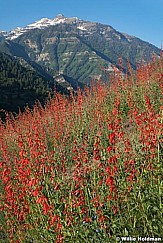penstomencascade062310