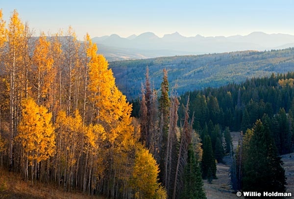 yellowaspensuinta093010 1426