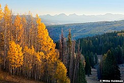 yellowaspensuinta093010 1426